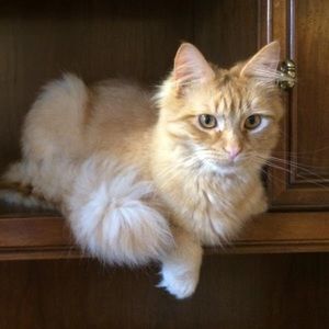 Meet your Posher, Katie